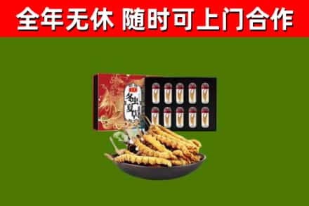北安烟酒回收冬虫夏草礼盒.jpg